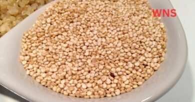 Quinoa Superfood: Nutrition Facts, Health Benefits and Why Experts Recommend It