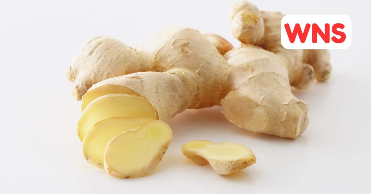 Ginger