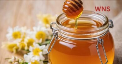 Is Honey Actually Healthy or Just Sugar in Disguise? What Science Really Says
