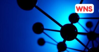 Human Rights Watch accuses Israel of unlawfully using white phosphorus in Lebanon attack