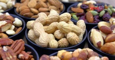 10 Science-Based Health Benefits of Nuts That Make Them Essential for a Healthy Diet