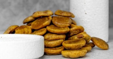 close up of sweet cookies