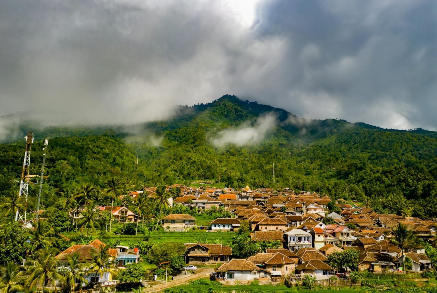 houses surrounded by trees