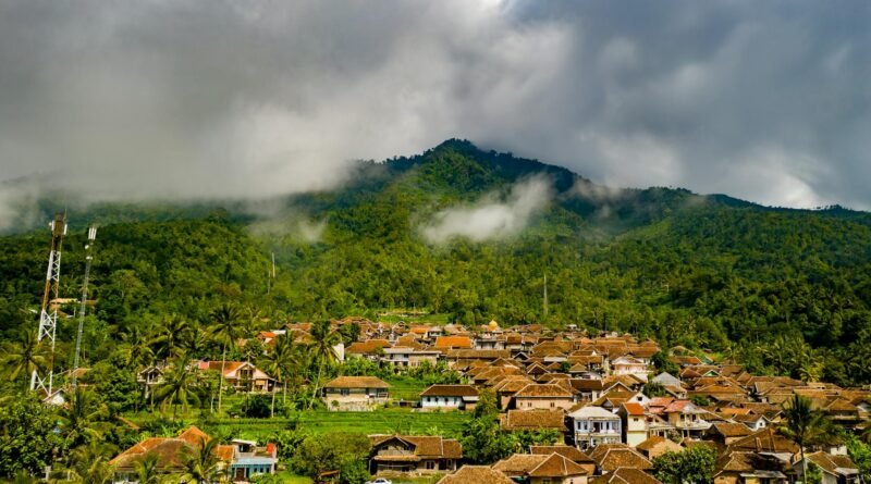 houses surrounded by trees
