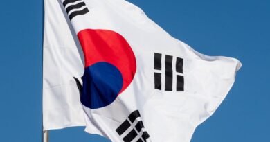 flag of south korea