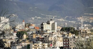 birds eye view of town in mountains