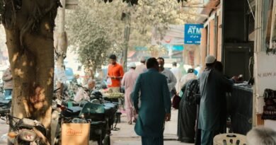 people walking on sidewalk