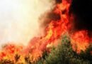 intense forest fire blaze in demre turkiye