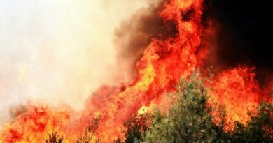 intense forest fire blaze in demre turkiye