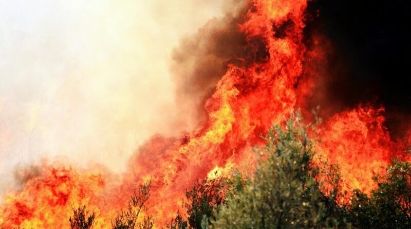 intense forest fire blaze in demre turkiye