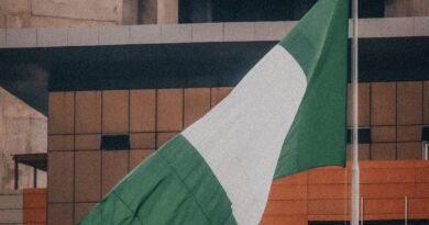 nigerian flag waving in urban environment