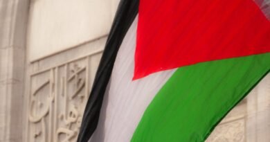 palestinian flag against historical architecture