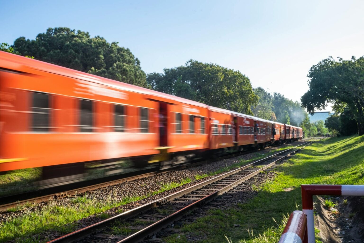 orange train speeds through lush countryside