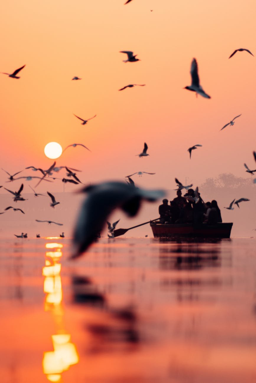 people on boat during sunset