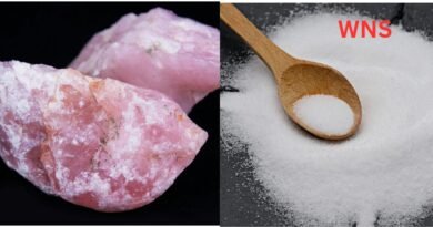 White Salt vs Pink Salt: Which Is Actually Better for Your Health?