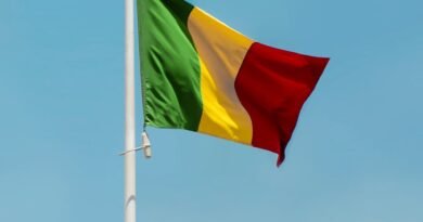 mali national flag