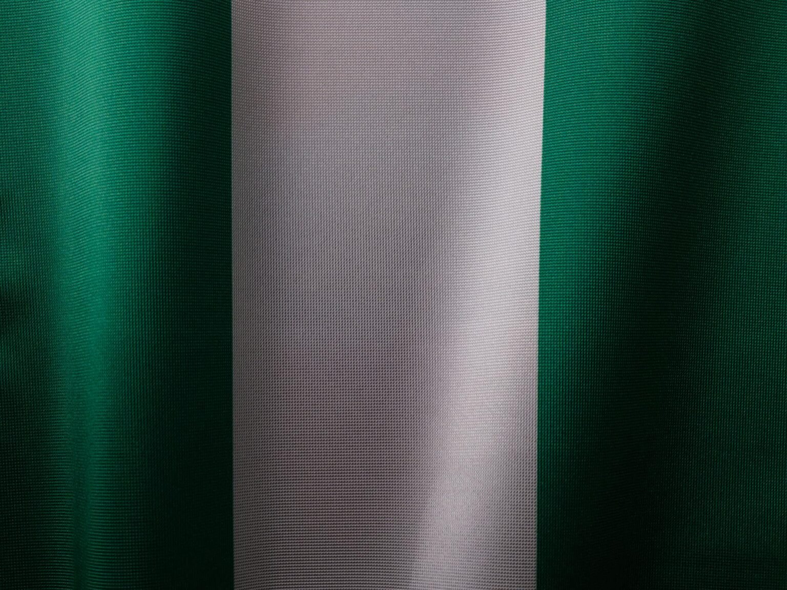 the national flag of nigeria
