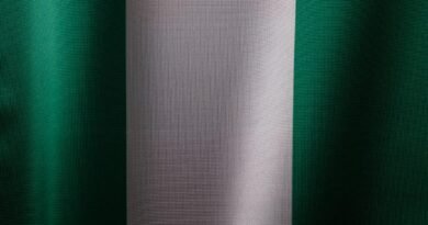 the national flag of nigeria