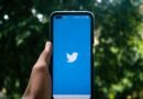 hand holding a smartphone with twitter icon on screen