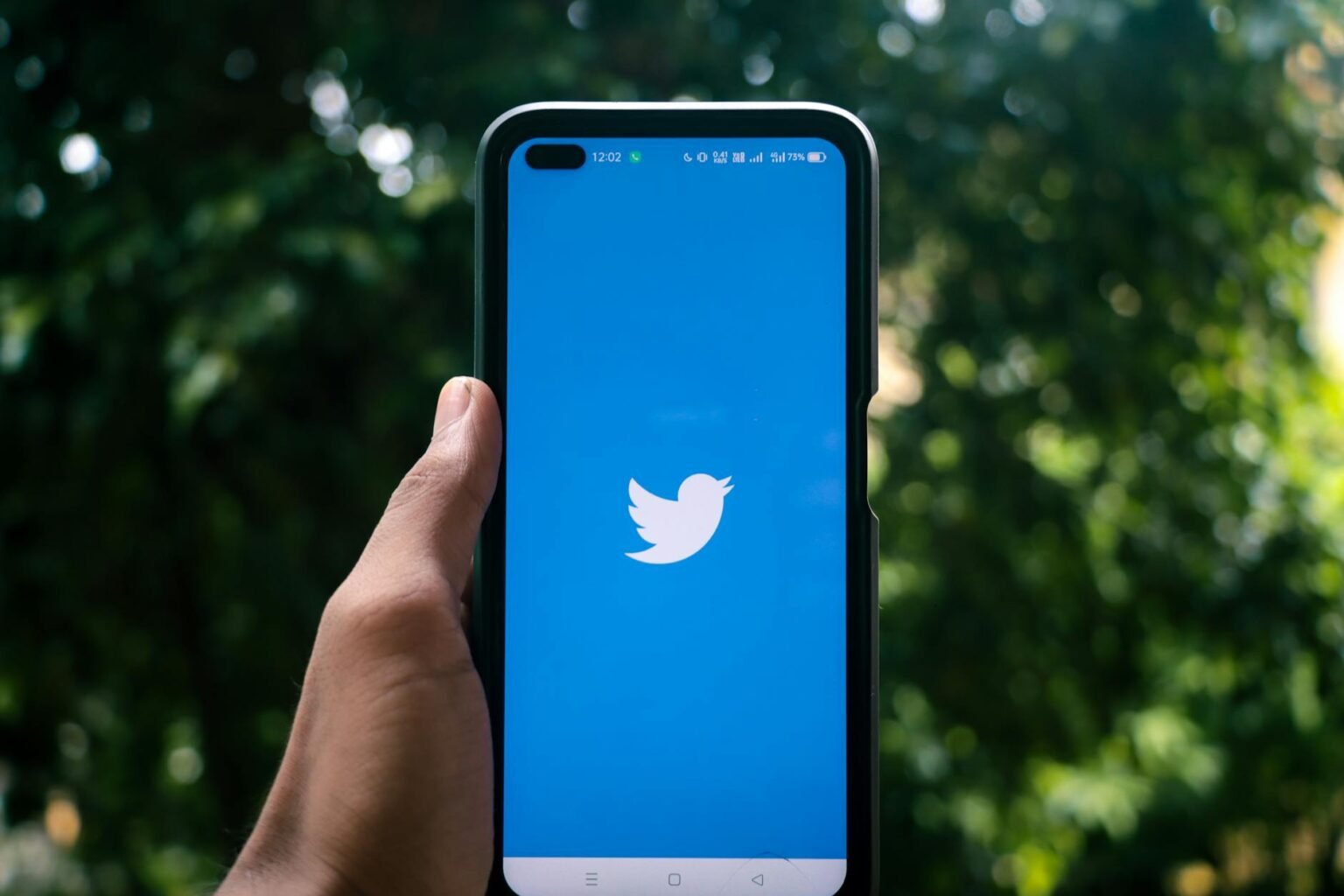 hand holding a smartphone with twitter icon on screen