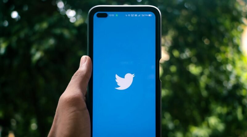 hand holding a smartphone with twitter icon on screen