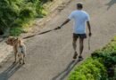 man walking with dog