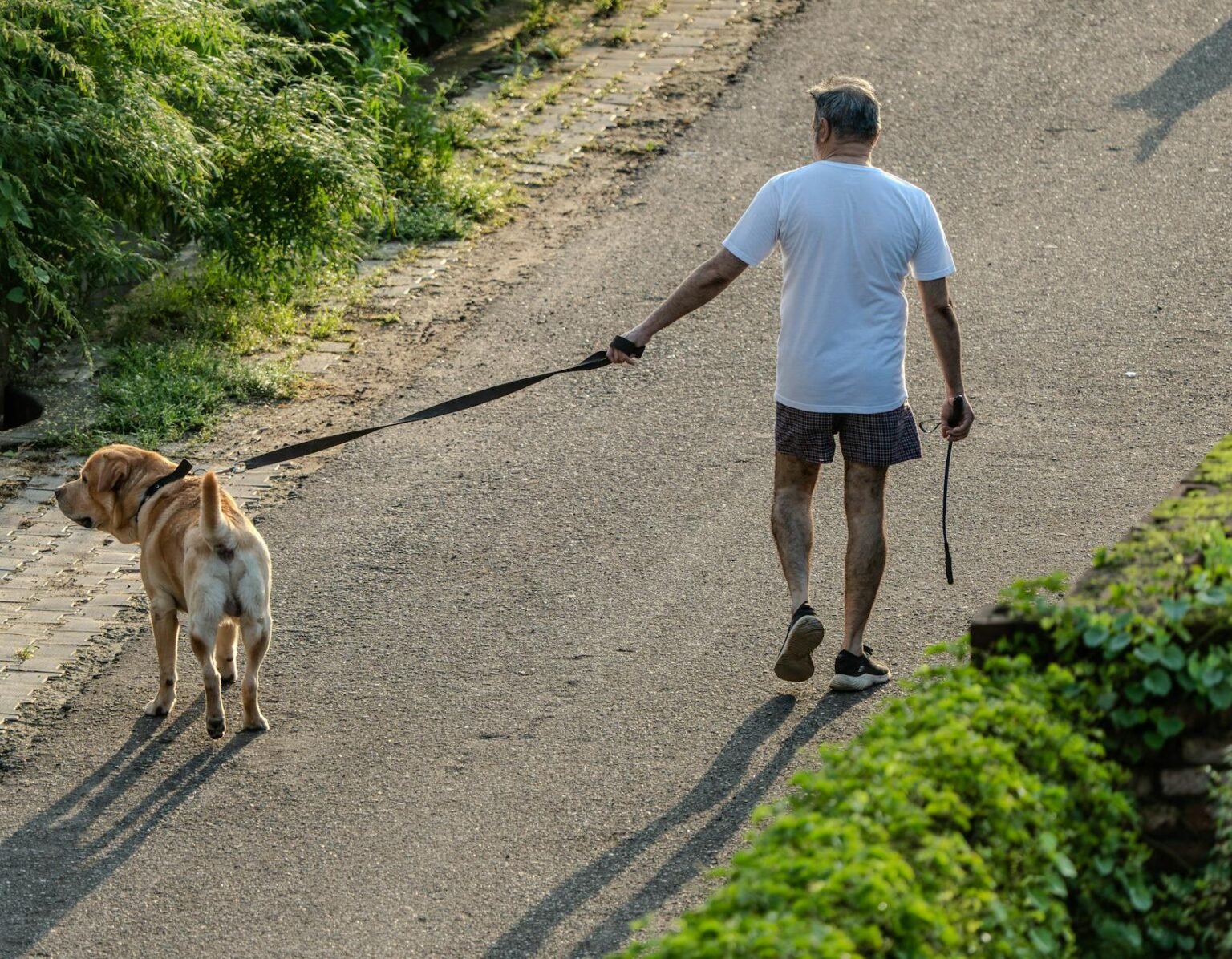 man walking with dog