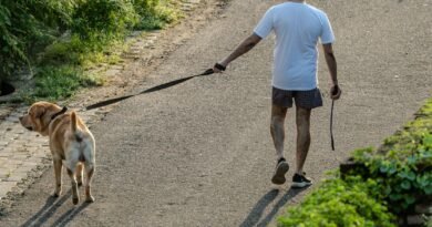 man walking with dog