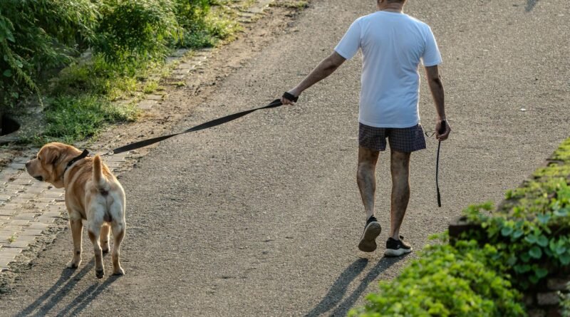 man walking with dog