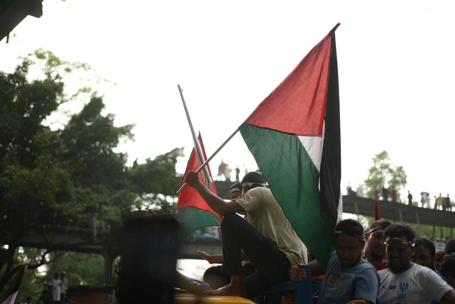 pro palestine rally