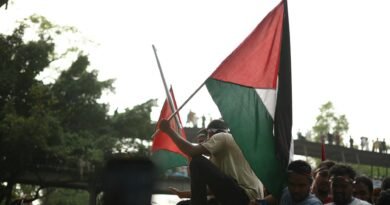 pro palestine rally