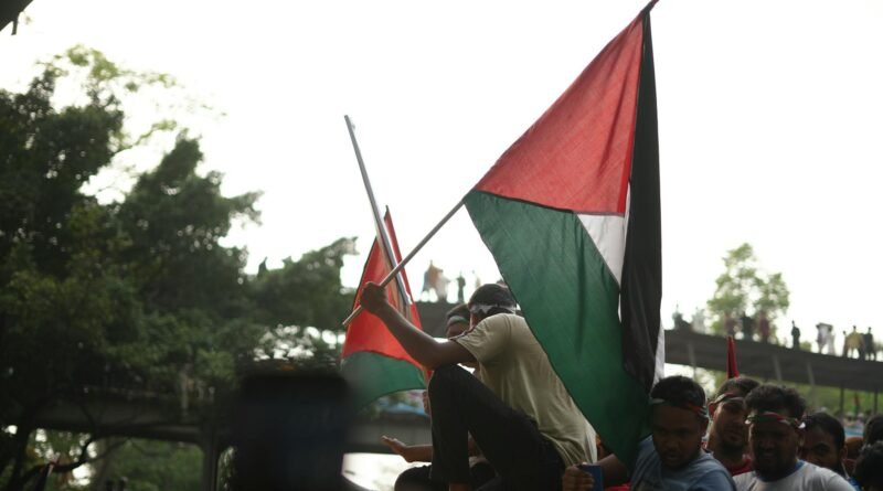 pro palestine rally