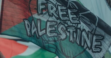 BRICS Ministers Agree on Independent State of Palestine with East Jerusalem as Capital Amid Deep Divisions on Wider West Asia Crisis close up of palestinian flags