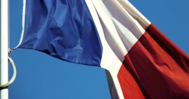 close up shot of the flag of france