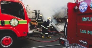 13 Foreigners Among 21 Killed in New Delhi Hotel Fire; Owner Arrested for Safety Violations firetrucks and firefighters on street