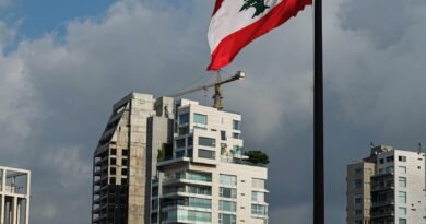 lebanese flag and urban skyline in beirut