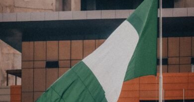 At Least 20 Killed in Armed Attack on Community in Central Nigeria nigerian flag waving in urban environment