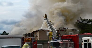 firemen extinguishing the fire