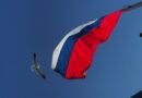 flying bird near a flag