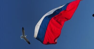 flying bird near a flag
