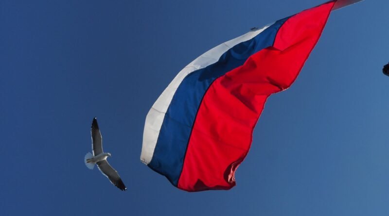 flying bird near a flag