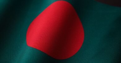 the national flag of bangladesh
