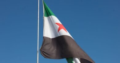 Blast at Damascus Cafe Kills at Least Nine Near Justice Palace syrian flag waving against clear blue sky
