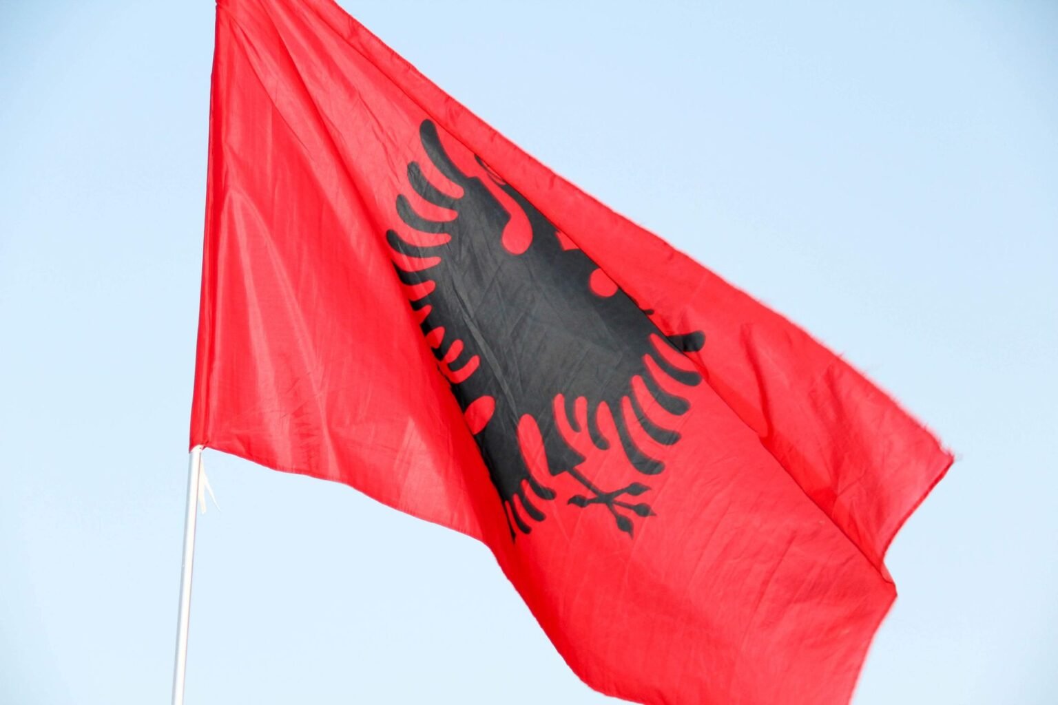 national flag of albania