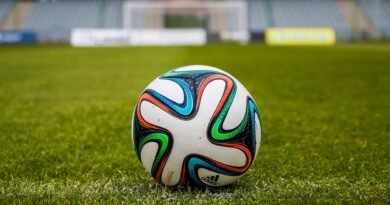 Spain Claims Second World Cup Title with Extra-Time Victory Over Argentina ball on grass open field