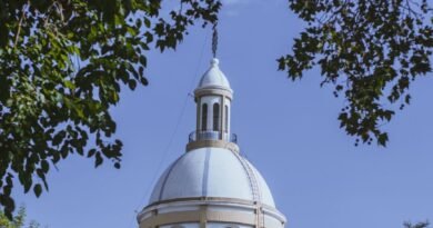 a dome of a building seen from between the trees