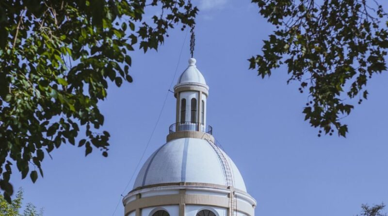 a dome of a building seen from between the trees