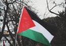 palestine flags in park with trees