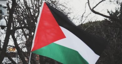 Palestinians Hold Mass Funeral for 112 Victims of 2023 Israeli Strike in Gaza palestine flags in park with trees