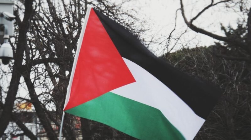 palestine flags in park with trees